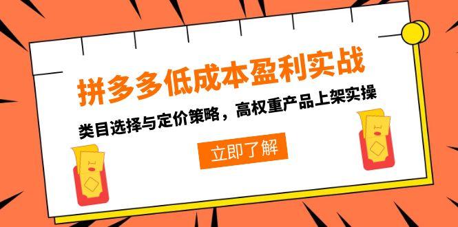 拼多多低成本盈利实战，类目选择与定价策略，高权重产品上架实操-网创之家