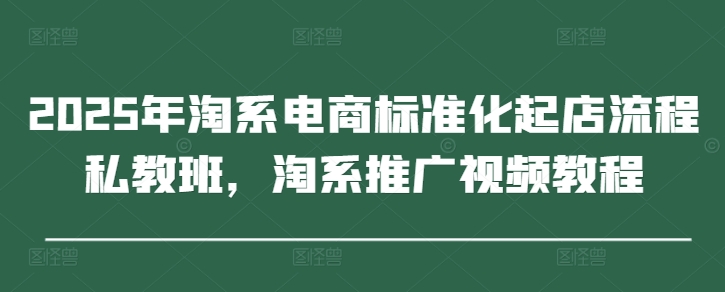 2025年淘系电商标准化起店流程私教班，淘系推广视频教程-网创之家