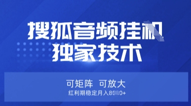 【搜狐音频挂G】独家技术,可矩阵可放大,红利期稳定月入8k【揭秘】-网创之家