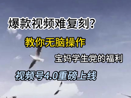 视频号4.0重磅上线，爆款视频难复刻？教你无脑操作宝妈学生党的福利【揭秘】-网创之家