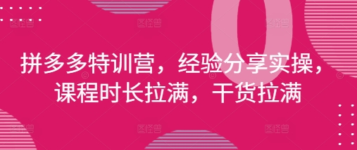 拼多多特训营，经验分享实操，课程时长拉满，干货拉满(更新25年4月)-网创之家