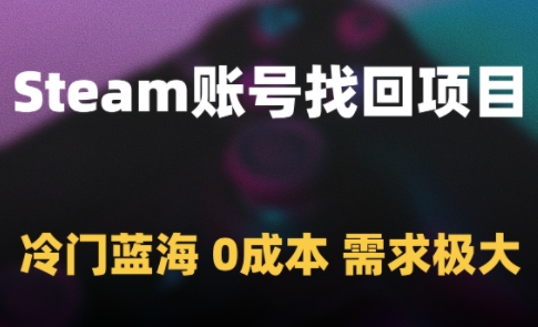 Steam账号找回项目，冷门蓝海，0成本，需求极大-网创之家