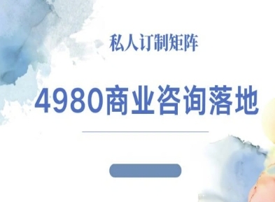 4980商业咨询师落地课程-ip运营高客单教程-网创之家