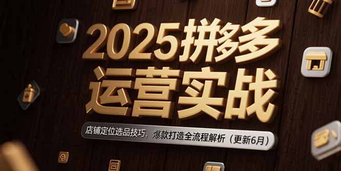 2025拼多多运营实战：店铺定位选品技巧，爆款打造全流程解析(更新6月-网创之家
