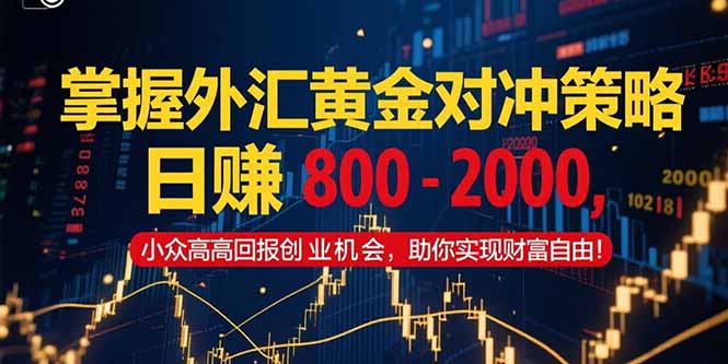 掌握外汇黄金对冲策略，日赚 800 - 2000，小众高回报创业机会，助你实...-网创之家