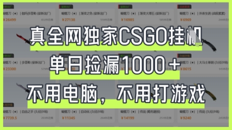真全网独家CSGO挂G，单日捡漏1k+【揭秘】-网创之家