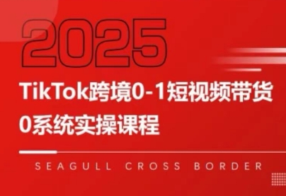 大亿老师·TikTok跨境0-1短视频带货-网创之家