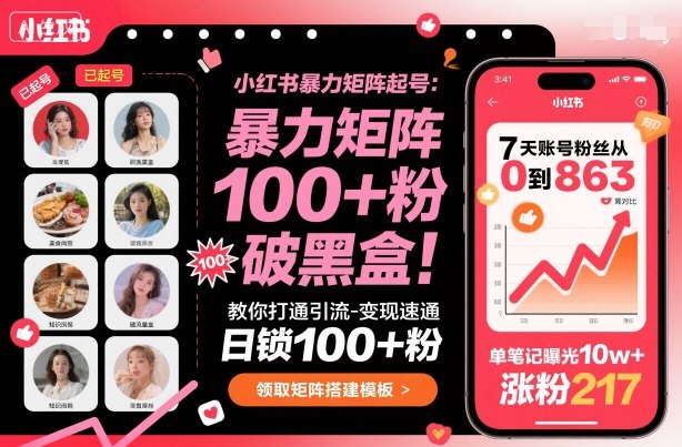 小红书暴力矩阵起号，教你打通引流-变现速通，日锁100+粉，破流量黑盒-网创之家