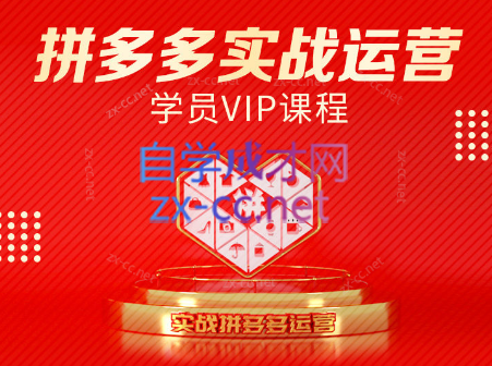 推易电商·拼多多实战运营课(更新2025月)-网创之家