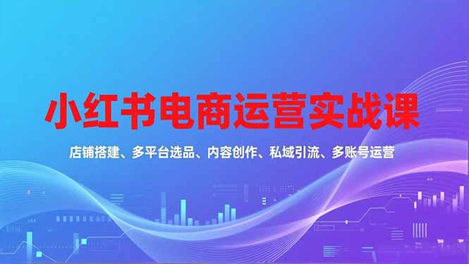 小红书电商运营实战课，店铺搭建、多平台选品、内容创作、私域引流、多账号运营等玩法-网创之家