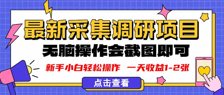 新版采集调研项目，截图上传即可，无脑操作，日收益1-2张-网创之家