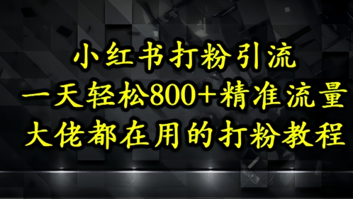 小红书打粉引流，一天轻松500+精准流量，大佬都在用的打粉教程-网创之家