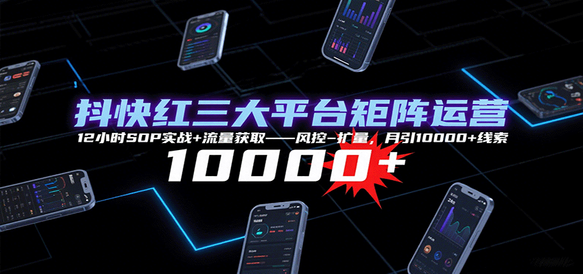 抖快红三大平台矩阵运营，12小时SOP实战+流量获取-风控-扩量，月引10000+线索-网创之家