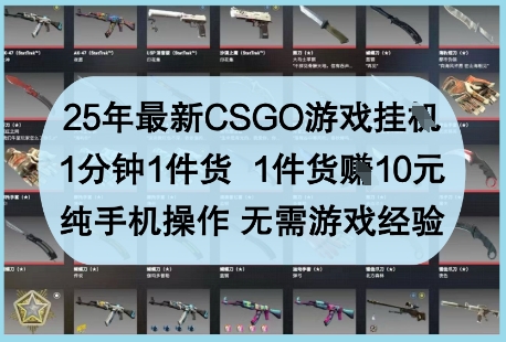 25年最新CSGO游戏挂G，1分钟1件货，1件货挣10元，纯手机操作，无需游戏经验【揭秘】-网创之家