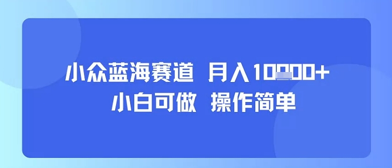 小众蓝海赛道，小白可做，操作简单，每天30分钟，月入1W+-网创之家