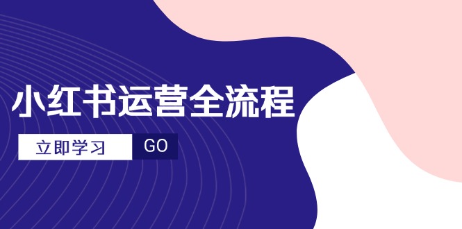 小红书运营全流程,爆款选题文案,视频制作技巧,进阶达人宝典-网创之家