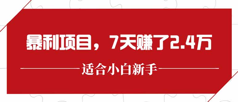 最新暴利项目，每单收益轻松在300以上，7天赚了2.4万-网创之家