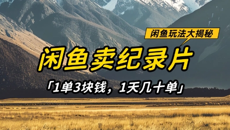 闲鱼卖纪录片1单3块钱，1天几十单，项目稳定有潜力-网创之家