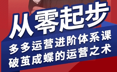 拼多多运营进阶系统课，从零起步，多多运营进阶体系课，破茧成蝶的运营之术-网创之家