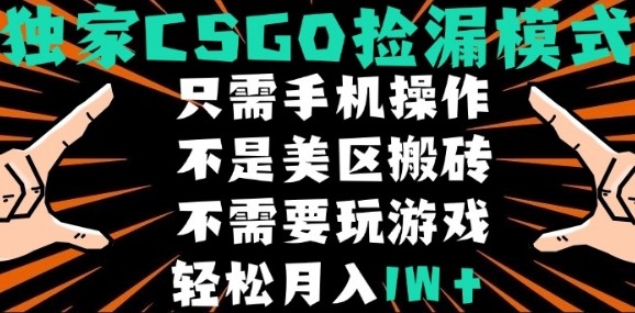 CSGO自动捡漏项目，最新独家玩法，不是美区搬砖，不需要了解和玩游戏，新手小白轻松月入1W+【揭秘】-网创之家