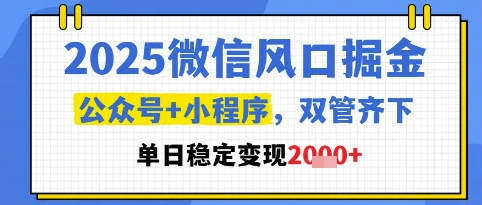 2025微信风口掘金，公众号+小程序双管齐下，单日稳定变现1k+【揭秘】-网创之家