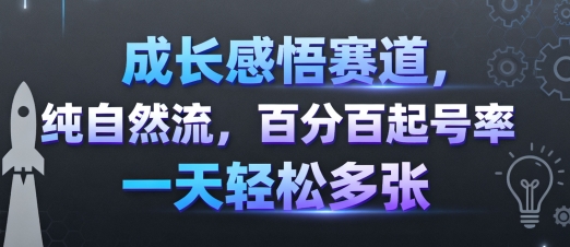 成长感悟赛道，纯自然流，百分百起号率 一天轻松多张-网创之家