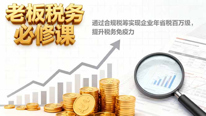 老板税务必修课,通过合规税筹实现企业年省税百万级,提升税务免疫力-网创之家