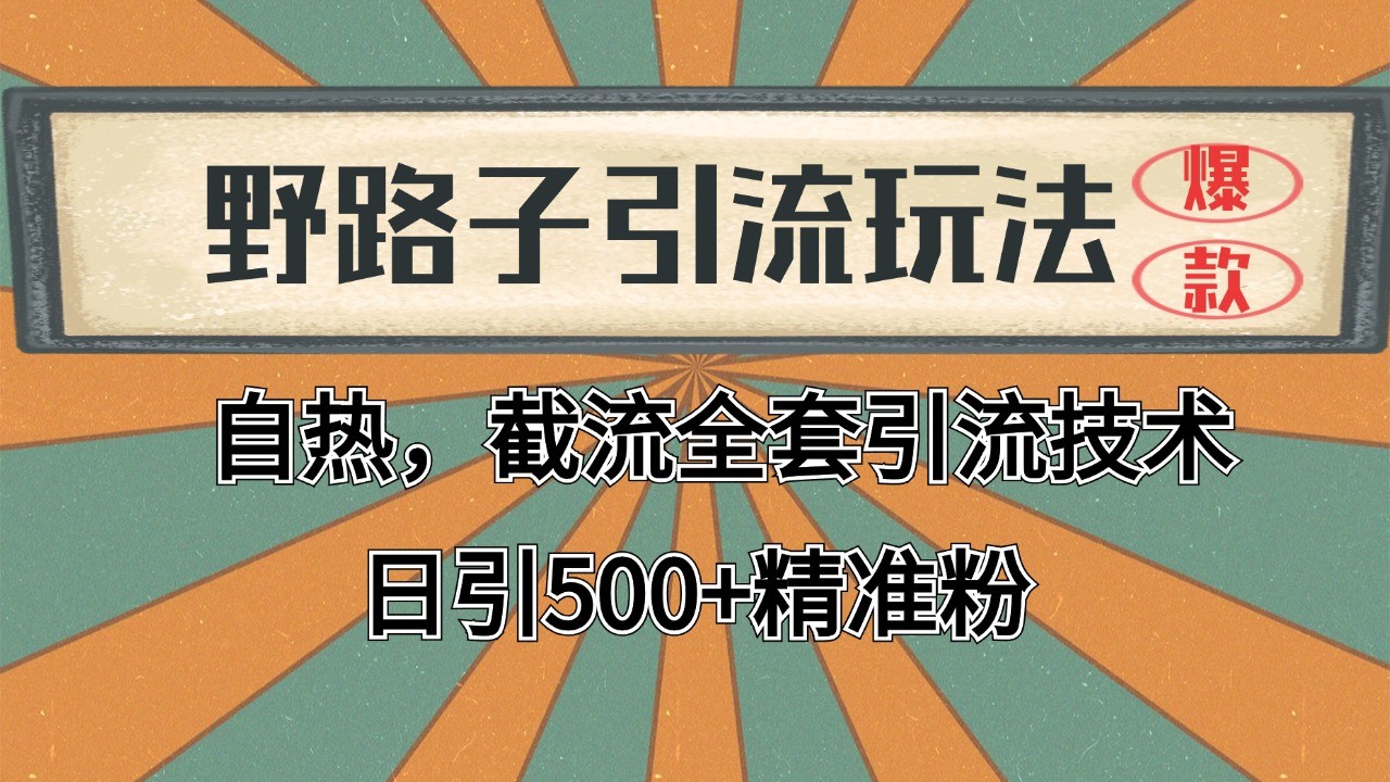 2024首发野路子引流玩法截流自热全平台打法，全自动引流【日引2000+精准客户】-网创之家