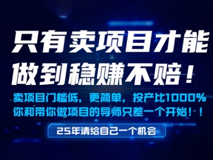 只有卖项目才能做到稳挣不赔，门槛低，更简单，你也可以年入百个W【揭秘】-网创之家