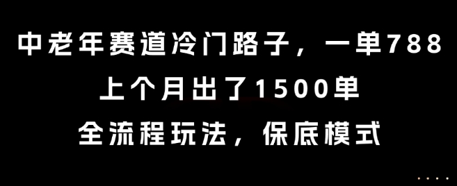 中老年赛道冷门路子，一单788，上个月出了1500单，全流程玩法，保底模式【揭秘】-网创之家