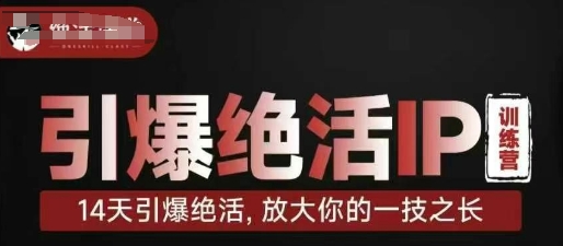 引爆绝活IP训练营，14天引爆绝活，放大你的一技之长-网创之家