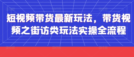 短视频带货最新玩法，带货视频之街访类玩法实操全流程-网创之家