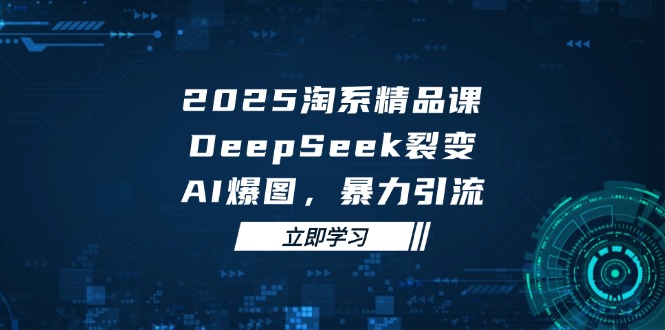 2025 淘系精品课，DeepSeek 裂变，AI 爆图，暴力引流-网创之家