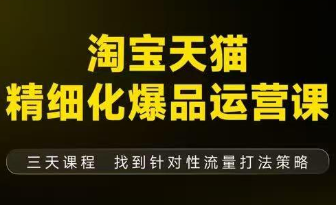 猫课子幽·淘宝天猫精细化爆品运营【音频+字幕+文档】(9月12-14杭州线下课)-网创之家