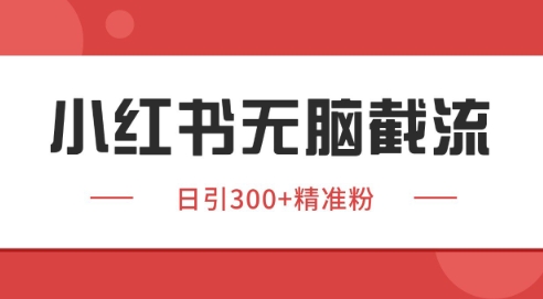 小红书截流同行客源,独家野路子获客玩法 日引200+暴力获客【揭秘】-网创之家