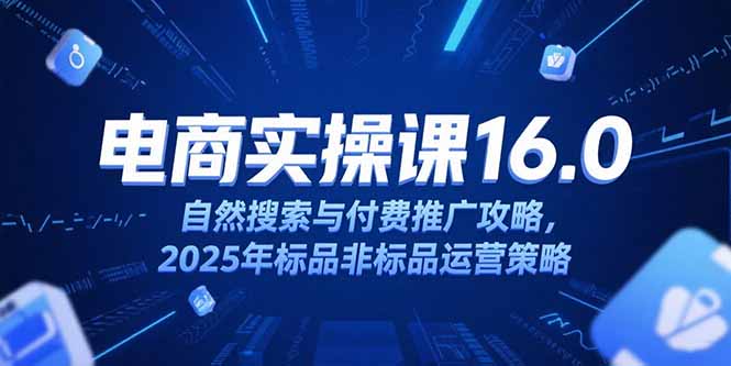 淘宝电商运营课16.0，自然搜索与付费推广攻略，2025年标品非标品运营策略-网创之家