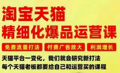 淘宝天猫精细化爆品运营课，免费流量打法-付费广告放大-利润增长-三大核心痛点，一次全部解决-网创之家