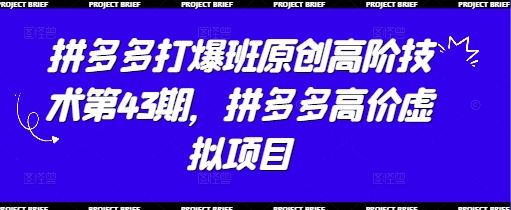 拼多多打爆班原创高阶技术第43期，拼多多高价虚拟项目-网创之家