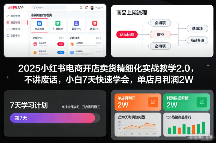 2025小红书电商开店卖货精细化实战教学2.0，不讲废话，小白7天快速学会，单店月利润2W-网创之家