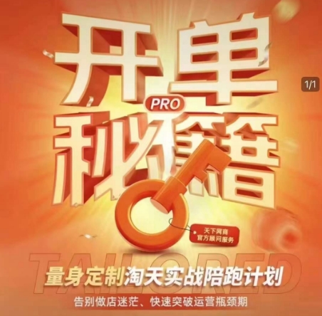 淘宝开单秘籍PRO，量身定制淘天实战陪跑计划，告别做店迷茫、快速突破运营瓶颈期(更新)-网创之家