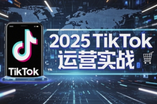 2025TikTok电商运营，掌握TikTok店铺运营核心技巧，实现低成本高转化-网创之家