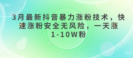 3月最新抖音暴力涨粉技术，快速涨粉安全无风险，一天涨1-10W粉-网创之家