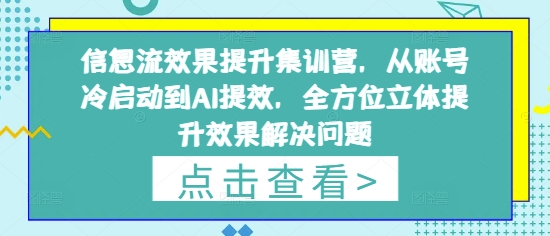 信息流效果提升集训营，从账号冷启动到AI提效，全方位立体提升效果解决问题-网创之家
