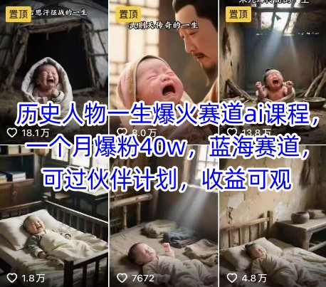 历史人物一生爆火赛道ai课程，一个月爆粉40w，蓝海赛道，可过伙伴计划，收益可观-网创之家
