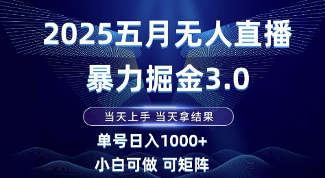 2025五月无人直播暴力掘金3.0，当天上手，当天拿结果，单号日入1k+小白可做可矩阵【揭秘】-网创之家