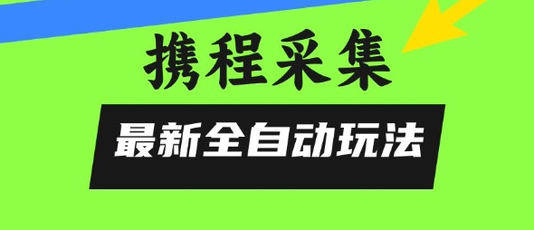 携程信息采集全自动玩法，0风控，无脑开干【揭秘】-网创之家