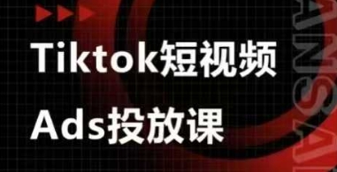 Ads视频投放课，tiktok短视频广告投放课-网创之家