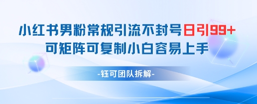 小红书男粉常规引流不封号日引99+变现简单 可矩阵可复制小白容易上手-网创之家