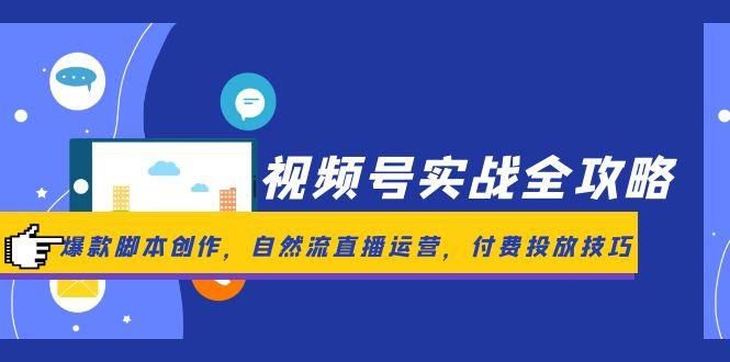 视频号实战全攻略，爆款脚本创作，自然流直播运营，付费投放技巧-网创之家