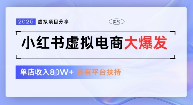 小红书虚拟电商项目，平台大力免费流量扶持，低门槛1拖3玩法-网创之家